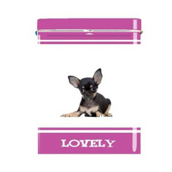 BOITE CIGARETTES - CHIOT CHIHUAHUA NOIR