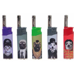 PETS ROCK - LE LOT DE 5 BRIQUETS COBIA (5 MODELES)