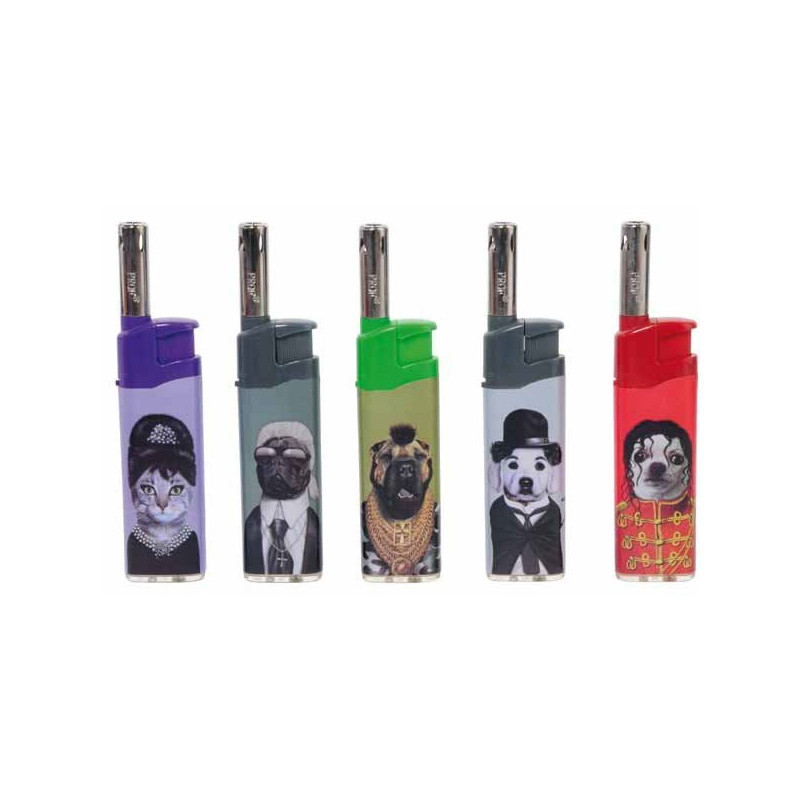 PETS ROCK - LE LOT DE 5 BRIQUETS COBIA (5 MODELES)