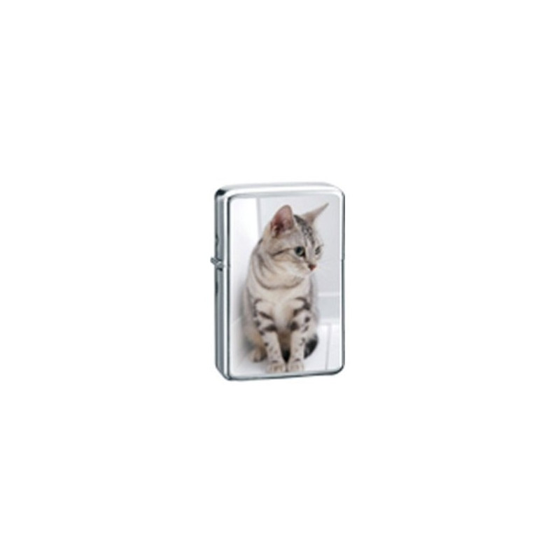 Belflam Oil - Le Briquet Essence Chat Gris Modele 4