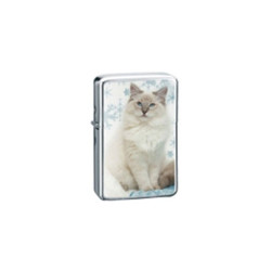 Belflam Oil - Le Briquet Essence Chat Blanc Modele 2