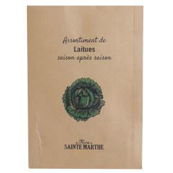 La ferme Sainte Marthe - 500 graines AB - Assortiment de laitues saison après saison