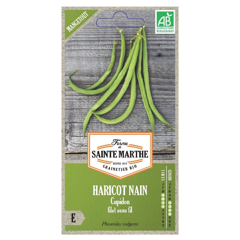 La ferme Sainte Marthe - Env.325 graines AB - Haricot Nain Cupidon Filet sans fil Mangetout