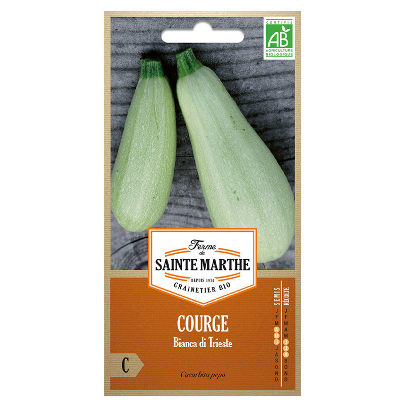 La ferme Sainte Marthe - 15 graines AB - Courgette Bianca Di Trieste ou Bianca Goriziana