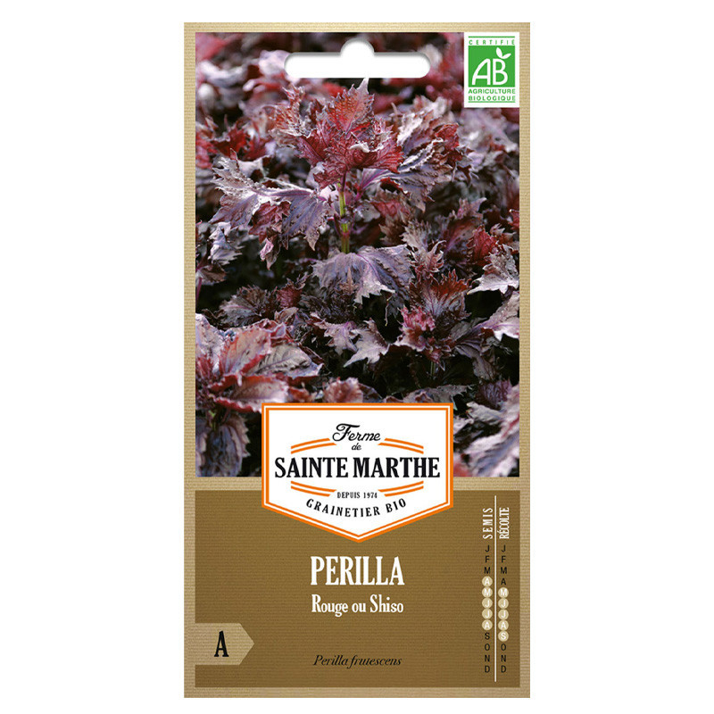 La ferme Sainte Marthe - 250 graines AB - Perilla Rouge ou Shiso