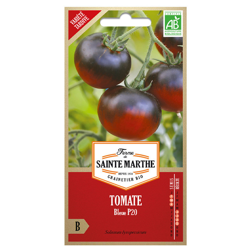 La ferme Sainte Marthe - 50 graines AB - Tomate Bleue P20 ou Osu Blue P20