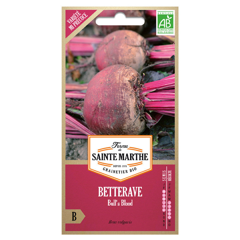 La ferme Sainte Marthe - 150 graines AB - Betterave Sang de Taureau