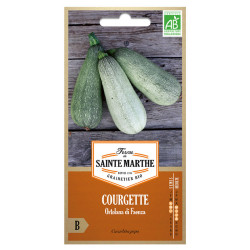 La ferme Sainte Marthe - 15 graines AB - Courgette Ortolana Di Faenza