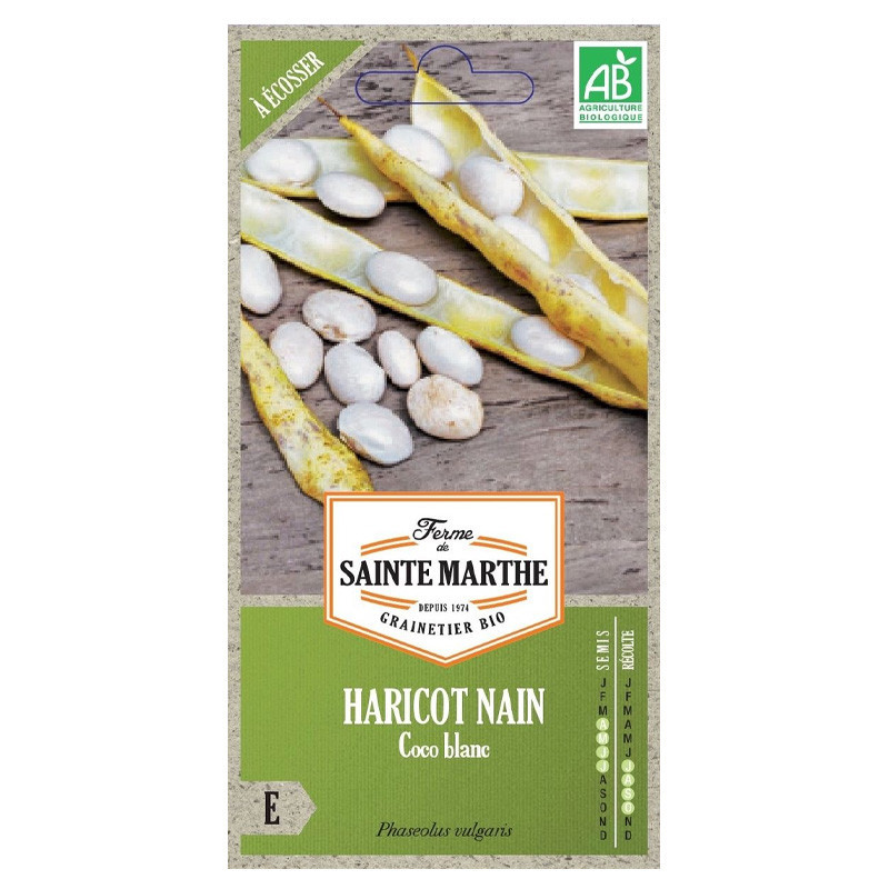 La ferme Sainte Marthe - Env.140 graines AB - Haricot Nain Coco Blanc Précoce à écosser