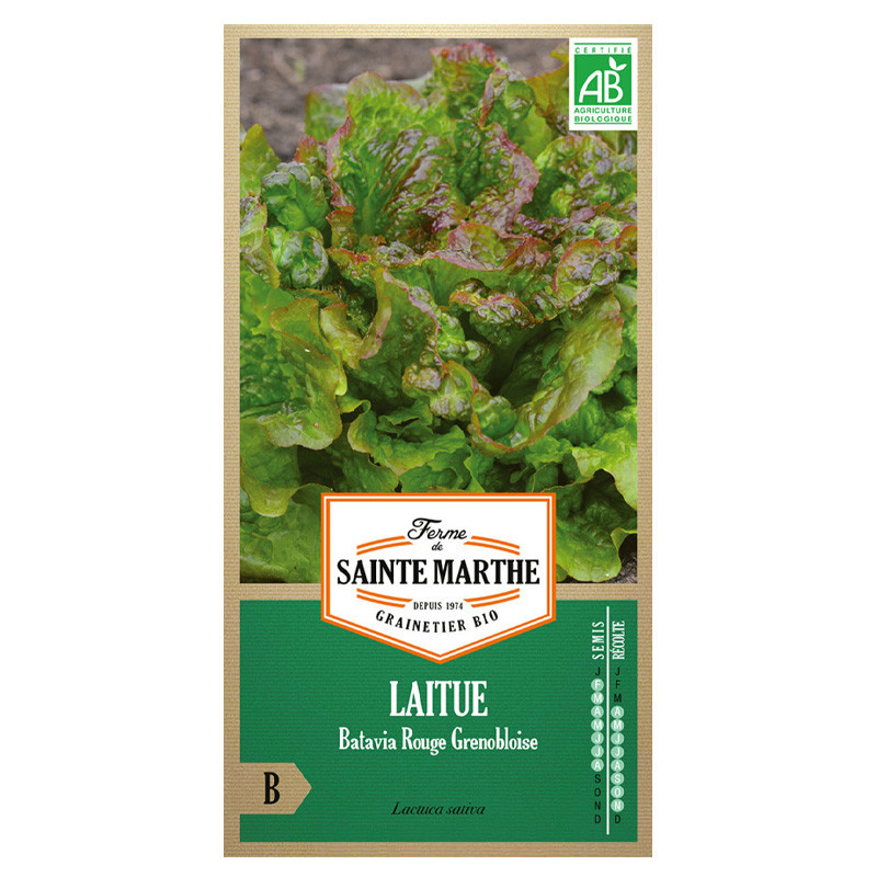 La ferme Sainte Marthe - 500 graines AB - Laitue Batavia Rouge Grenobloise