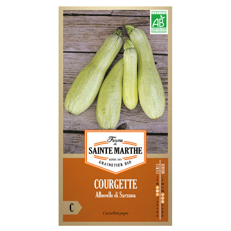 La ferme Sainte Marthe - 15 graines AB - Courgette Alberello Di Sarzana