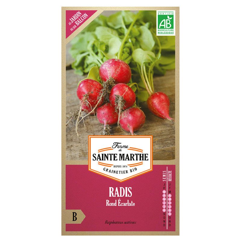 La ferme Sainte Marthe - 1000 graines AB - Radis Rond Ecarlate