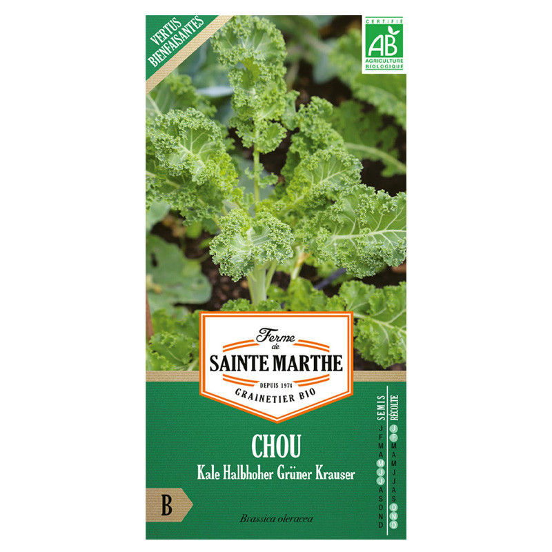 La ferme Sainte Marthe - 200 graines AB - Chou Frise Kale Halbhoher Grüner Krauser