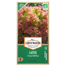 La ferme Sainte Marthe - 500 graines AB - Laitue à Couper Lollo Rossa