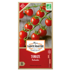 La ferme Sainte Marthe - 50 graines AB - Tomate Barbaniaka