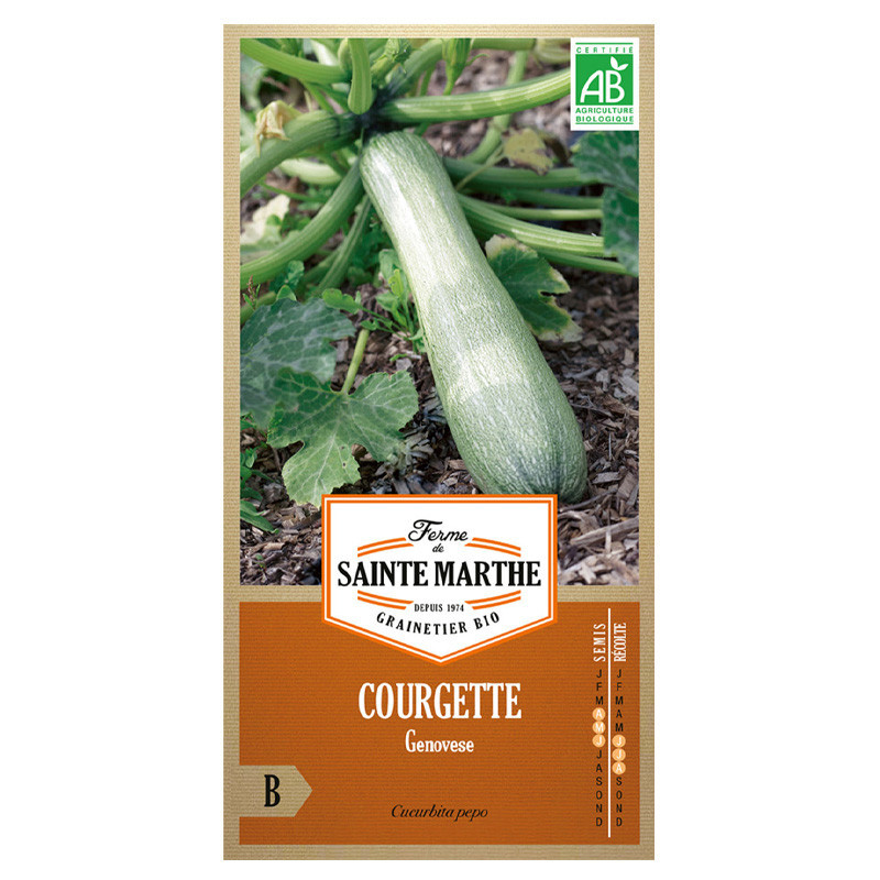 La ferme Sainte Marthe - 15 graines AB - Courgette Genovese