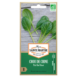 La ferme Sainte Marthe - 300 graines AB - Chou de Chine Pak Tatsoi