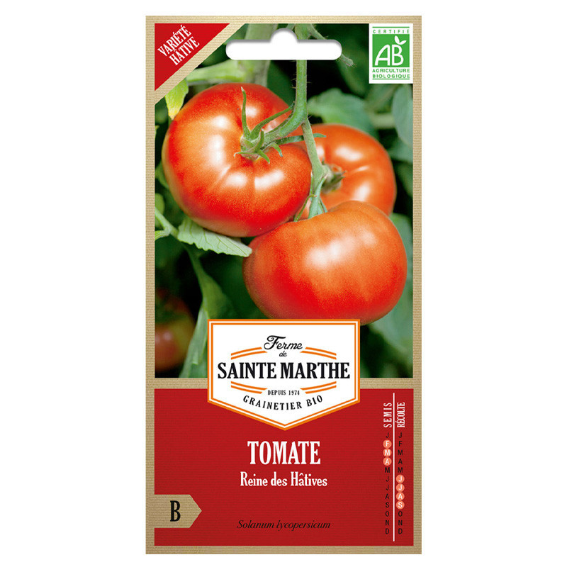 La ferme Sainte Marthe - 50 graines AB - Tomate Reine des Hâtives