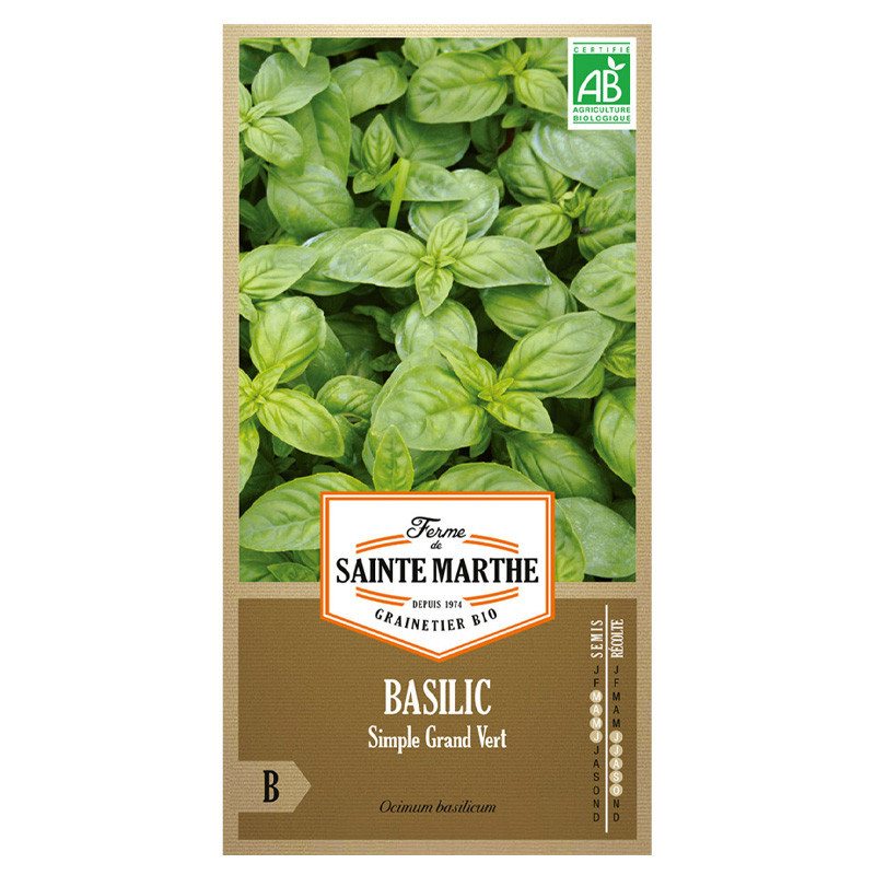 La ferme Sainte Marthe - 200 graines AB - Basilic Simple Grand Vert