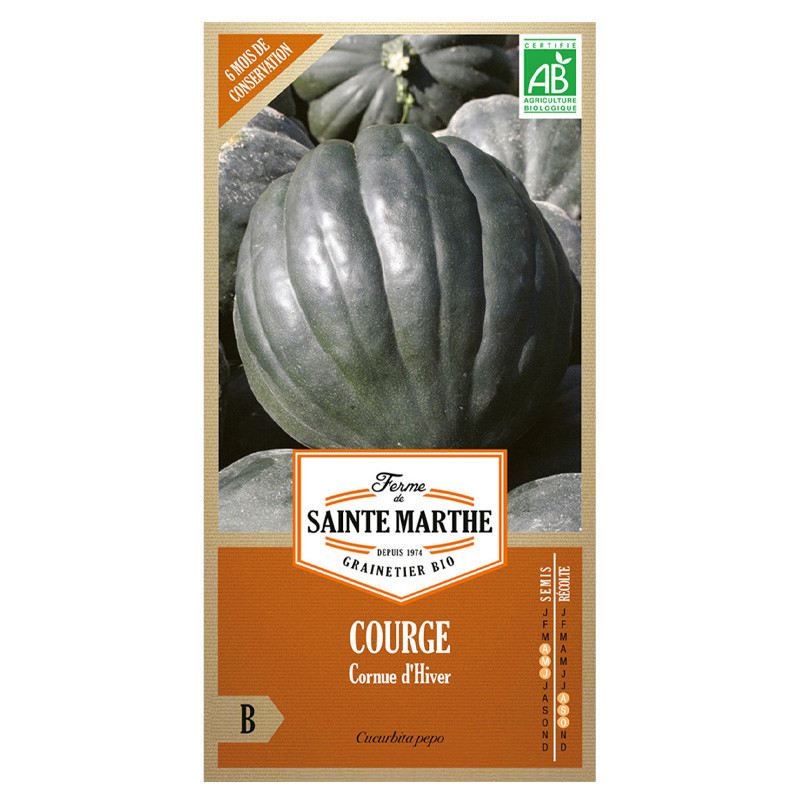 La ferme Sainte Marthe - 15 graines AB - Courge d'hiver ou Cornues d'hiver