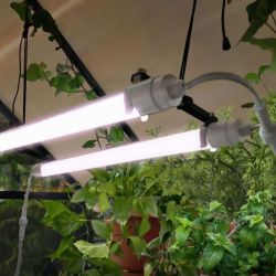 BRIGHTON - LED GROW LIGHT EU