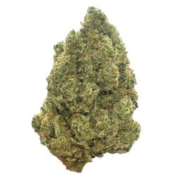 INDOOR BIGBUD AMNESIA 100G CBD