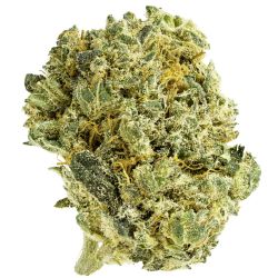 INDOOR BIGBUD AMNESIA 250G CBD