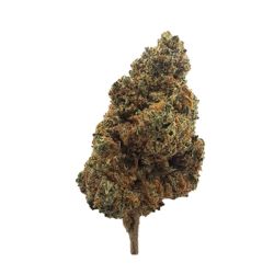 INDOOR BIGBUD BLACKBERRY 100G CBD