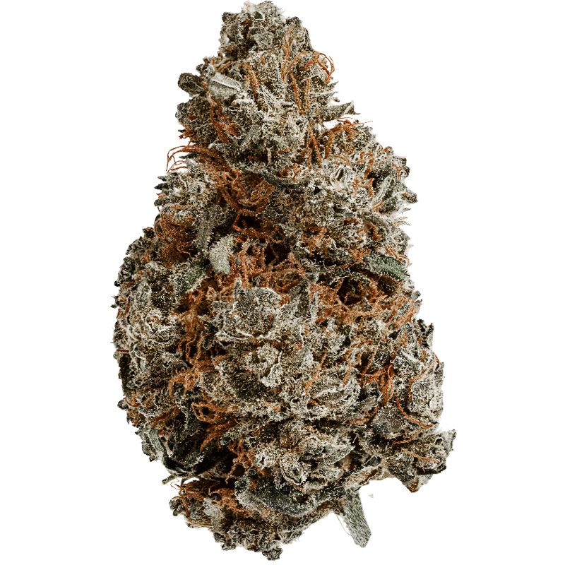 INDOOR BIGBUD BLACKBERRY 100G CBD