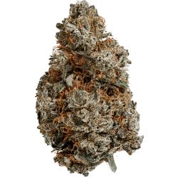 INDOOR BIGBUD BLACKBERRY 250G CBD