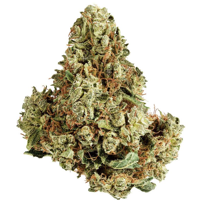 INDOOR BIGBUD AK47 250G CBD