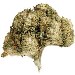 INDOOR BIGBUD MONSTER KUSH 100G CBD