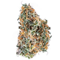 INDOOR BIGBUD LEMON POP 100G CBD