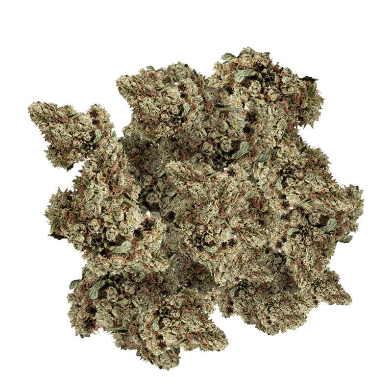 INDOOR SMALLBUD AK47 100G CBD