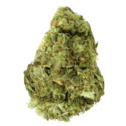 INDOOR SMALLBUD MONSTER KUSH 100G CBD