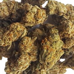 INDOOR SMALLBUD WHITE WIDOW 100G CBD