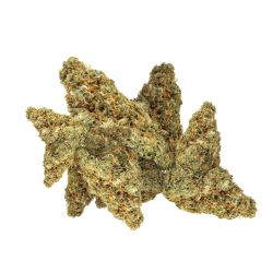 INDOOR SMALLBUD WHITE WIDOW 100G CBD