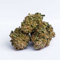 GLASSHOUSE SMALLBUD CANNATONIC 100G CBD