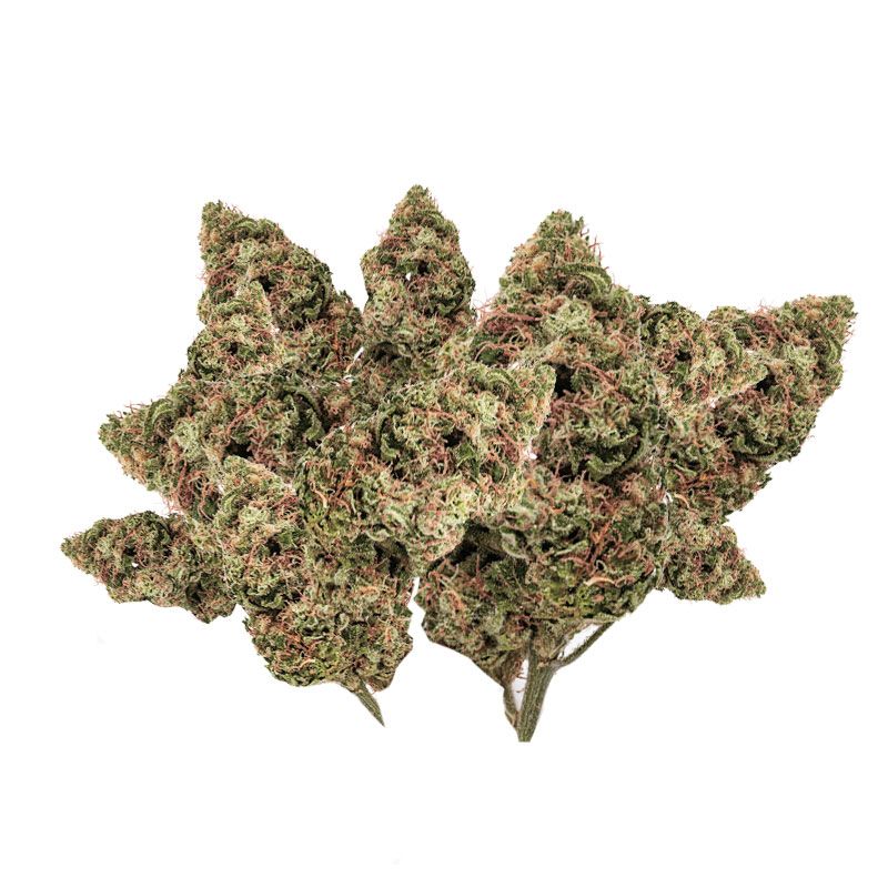 GLASSHOUSE SMALLBUD CANNATONIC 100G CBD