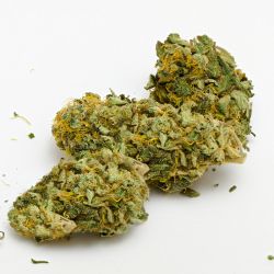 GLASSHOUSE SMALLBUD LEMON HAZE 100G CBD