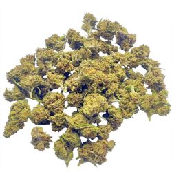 GLASSHOUSE SMALLBUD LEMON HAZE 250G CBD