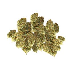 GLASSHOUSE SMALLBUD SKITTLEZ 100G CBD