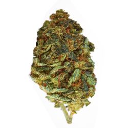 GLASSHOUSE SMALLBUD SKITTLEZ 100G CBD