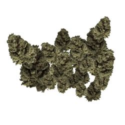 GLASSHOUSE BIGBUD GREEN SUGAR 100G CBD