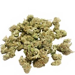 Platinium CBD - Exotic Kush - 100g - Small Bud - Serre - Fleurs de chanvre